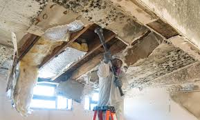 Mold Remediation for Rental Properties in Ritzville, WA